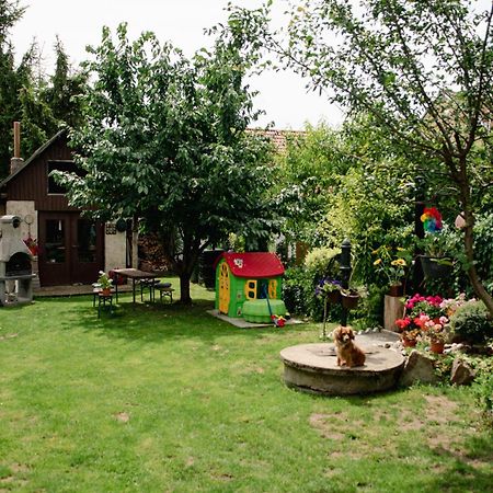 Podkrovni Apartman S Vyhledem Na Namesti Lomnice nad Lužnicí Exteriör bild
